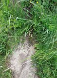 Uzhhorod-Section-2-tstone-3082