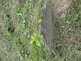 Uzhhorod-Section-2-tstone-3112