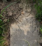 Uzhhorod-Section-2-tstone-3613