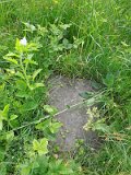 Uzhhorod-Section-2-tstone-3740