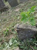 Uzhhorod-Section-2-tstone-3784
