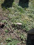 Uzhhorod-Section-2-tstone-4052