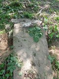 Uzhhorod-Section-2-tstone-4254
