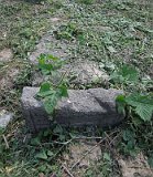 Uzhhorod-Section-2-tstone-4300