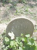 Uzhhorod-Section-2-tstone-4515