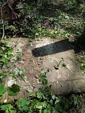 Uzhhorod-Section-2-tstone-5032