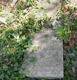 Uzhhorod-Section-2-tstone-5051