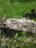 Uzhhorod-Section-2-tstone-5083