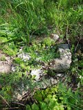 Uzhhorod-Section-2-tstone-5089