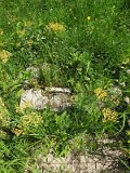 Uzhhorod-Section-2-tstone-5107