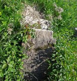 Uzhhorod-Section-2-tstone-5118