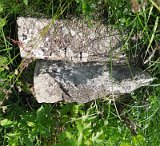 Uzhhorod-Section-2-tstone-5126