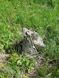 Uzhhorod-Section-2-tstone-5153