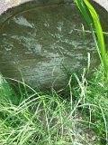 Uzhhorod-Section-2-tstone-5189