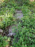 Uzhhorod-Section-2-tstone-5399