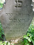 Uzhhorod-Section-2-tstone-5465