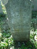 Uzhhorod-Section-3-tstone-0024