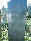 Uzhhorod-Section-3-tstone-0071