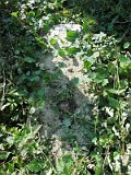 Uzhhorod-Section-3-tstone-1095
