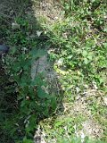 Uzhhorod-Section-3-tstone-1310