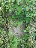 Uzhhorod-Section-3-tstone-1474