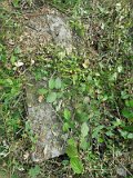 Uzhhorod-Section-3-tstone-1519