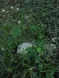 Uzhhorod-Section-3-tstone-2065