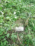 Uzhhorod-Section-4-tstone-0254