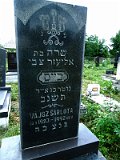 Uzhhorod-Section-4-tstone-0933