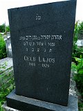 Uzhhorod-Section-4-tstone-1061