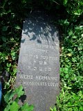 Zlata (Lotti) bat Yosef Zvi Chaim WEISZ d. 16 Shevat 5700 (26 January 1940) Wife of Yitzchok Zvi (Herman) / From Krist; Mothers name: Sara MOSKOVITS Uzhhorod-Section-4-tstone-1290