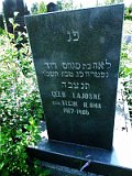 Uzhhorod-Section-4-tstone-1328