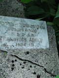 Uzhhorod-Section-4-tstone-1784