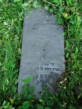 Uzhhorod-Section-4-tstone-1860