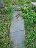 Uzhhorod-Section-5-tstone-0564
