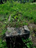 Uzhhorod-Section-5-tstone-0949