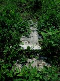 Uzhhorod-Section-5-tstone-1012