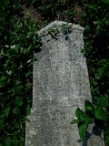 Uzhhorod-Section-5-tstone-1013