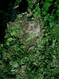 Uzhhorod-Section-5-tstone-1078