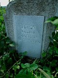 Uzhhorod-Section-5-tstone-1561