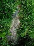 Uzhhorod-Section-5-tstone-1616
