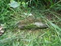 Velikiye Lazy-tstone-17