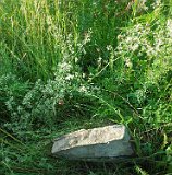 Velyatyn-tstone-011