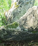 Velyatyn-tstone-015