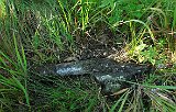 Velyatyn-tstone-077