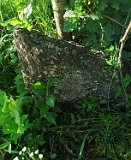 Velyatyn-tstone-080