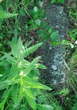 Velyatyn-tstone-107