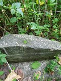 Velykyy-Rakovets-tstone-041