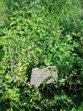 Velykyy-Rakovets-tstone-114