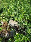 Velykyy-Rakovets-tstone-119